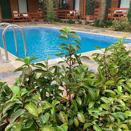 Tatil Keyfi Motel Kocaeli Exterior foto